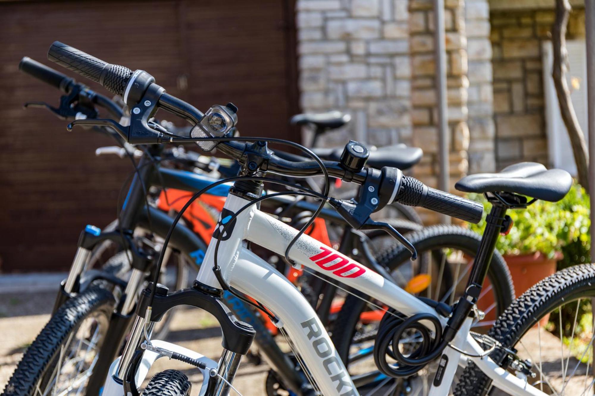 Apartment Tesic Close To The Sea With Shared 4Xbicycles Fazana Ngoại thất bức ảnh